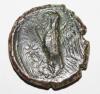 Sizilien Syrakus. Bronze 